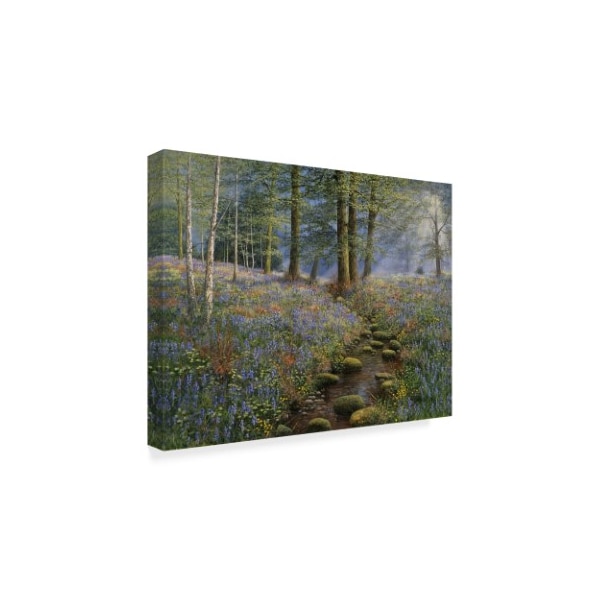 Bill Makinson 'Bluebell Wood' Canvas Art,14x19
